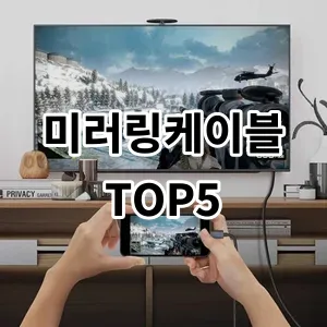 2024 미러링케이블 추천 Top5