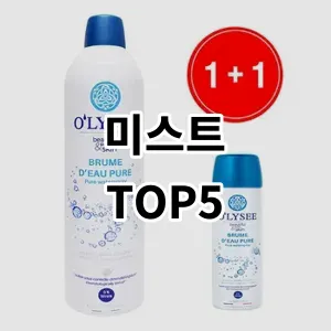 2024 미스트 추천 Top5