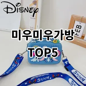 2024 미우미우가방 추천 Top5