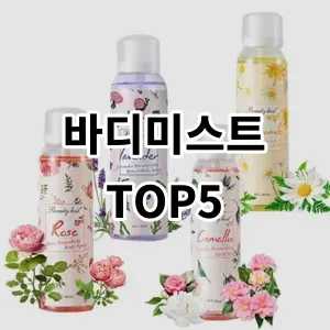 2024 바디미스트 추천 Top5