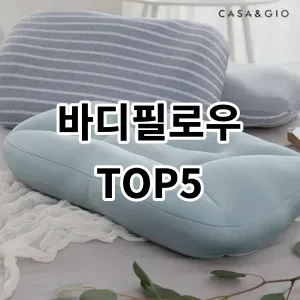 2024 바디필로우 추천 Top5