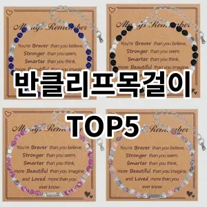 2024 반클리프목걸이 추천 Top5