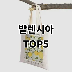 2024 발렌시아 추천 Top5