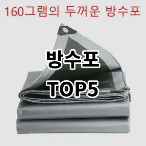 2024 방수포 추천 Top5