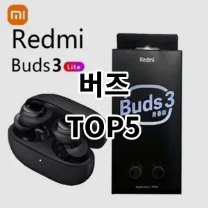 2024 버즈 추천 Top5