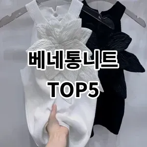 2024 베네통니트 추천 Top5