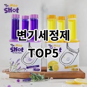 2024 변기세정제 추천 Top5