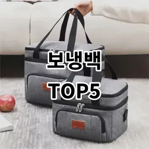 2024 보냉백 추천 Top5