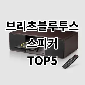 2024 브리츠블루투스스피커 추천 Top5