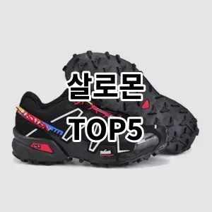 2024 살로몬 추천 Top5