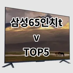 2024 삼성65인치tv 추천 Top5