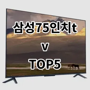 2024 삼성75인치tv 추천 Top5