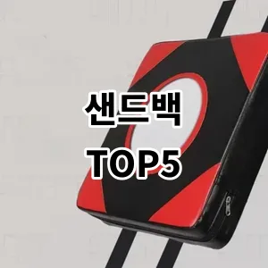 2024 샌드백 추천 Top5