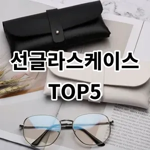 2024 선글라스케이스 추천 Top5