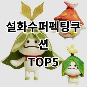 2024 설화수퍼펙팅쿠션 추천 Top5