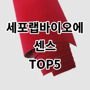 2024 세포랩바이오에센스 추천 Top5