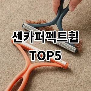 2024 센카퍼펙트휩 추천 Top5