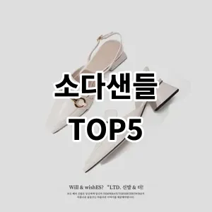 2024 소다샌들 추천 Top5