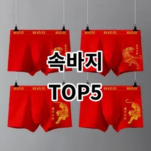 2024 속바지 추천 Top5