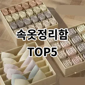 2024 속옷정리함 추천 Top5