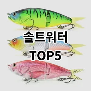 2024 솔트워터 추천 Top5