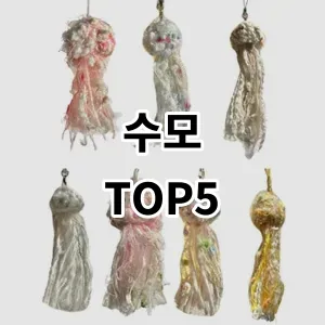 2024 수모 추천 Top5