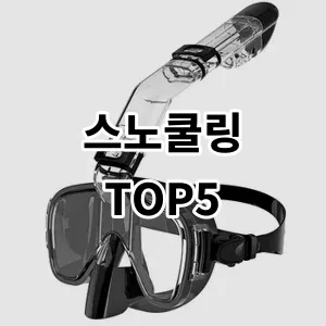 2024 스노쿨링 추천 Top5