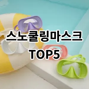 2024 스노쿨링마스크 추천 Top5