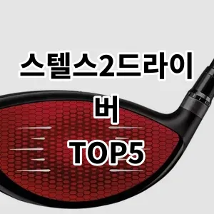 2024 스텔스2드라이버 추천 Top5