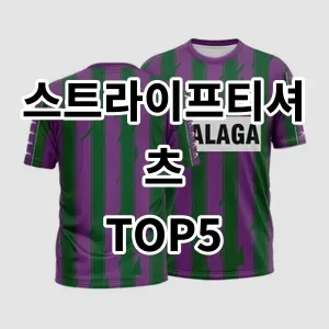 2024 스트라이프티셔츠 추천 Top5