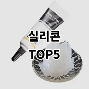 2024 실리콘 추천 Top5