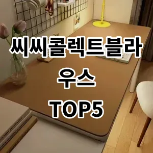 2024 씨씨콜렉트블라우스 추천 Top5