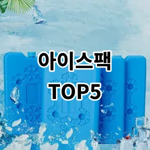 2024 아이스팩 추천 Top5