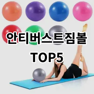 2024 안티버스트짐볼 추천 Top5