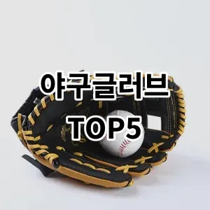 2024 야구글러브 추천 Top5