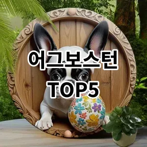 2024 어그보스턴 추천 Top5