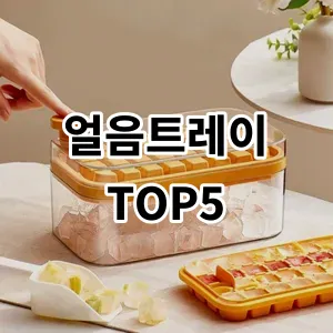 2024 얼음트레이 추천 Top5