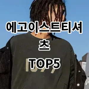 2024 에고이스트티셔츠 추천 Top5