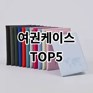 2024 여권케이스 추천 Top5