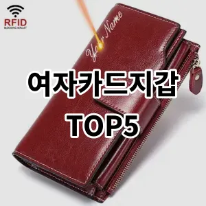 2024 여자카드지갑 추천 Top5