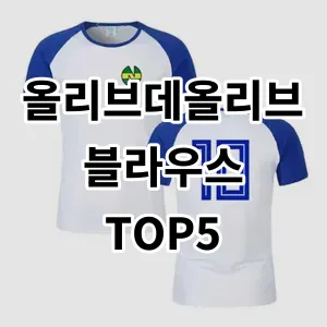 2024 올리브데올리브블라우스 추천 Top5