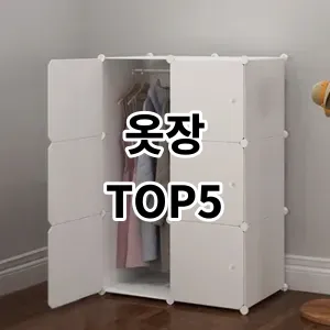 2024 옷장 추천 Top5