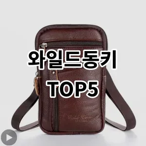 2024 와일드동키 추천 Top5