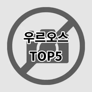 2024 우르오스 추천 Top5