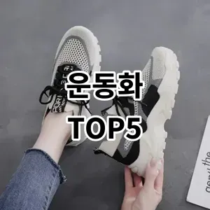 2024 운동화 추천 Top5