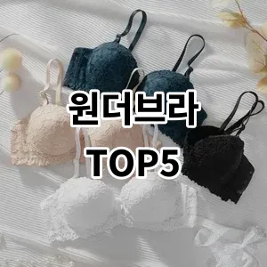 2024 원더브라 추천 Top5