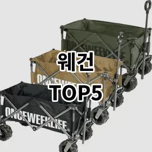 2024 웨건 추천 Top5