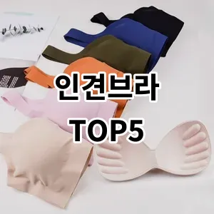 2024 인견브라 추천 Top5