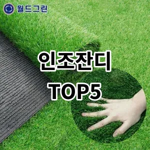 2024 인조잔디 추천 Top5