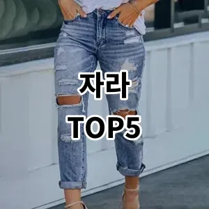 2024 자라 추천 Top5